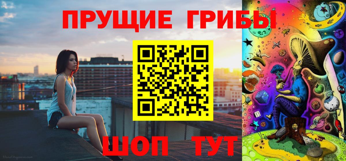 Галлюциногенные грибы Psilocybe  Вход с VPN  Ялта  Галлюциногенные грибы GOLDEN TEACHER 
